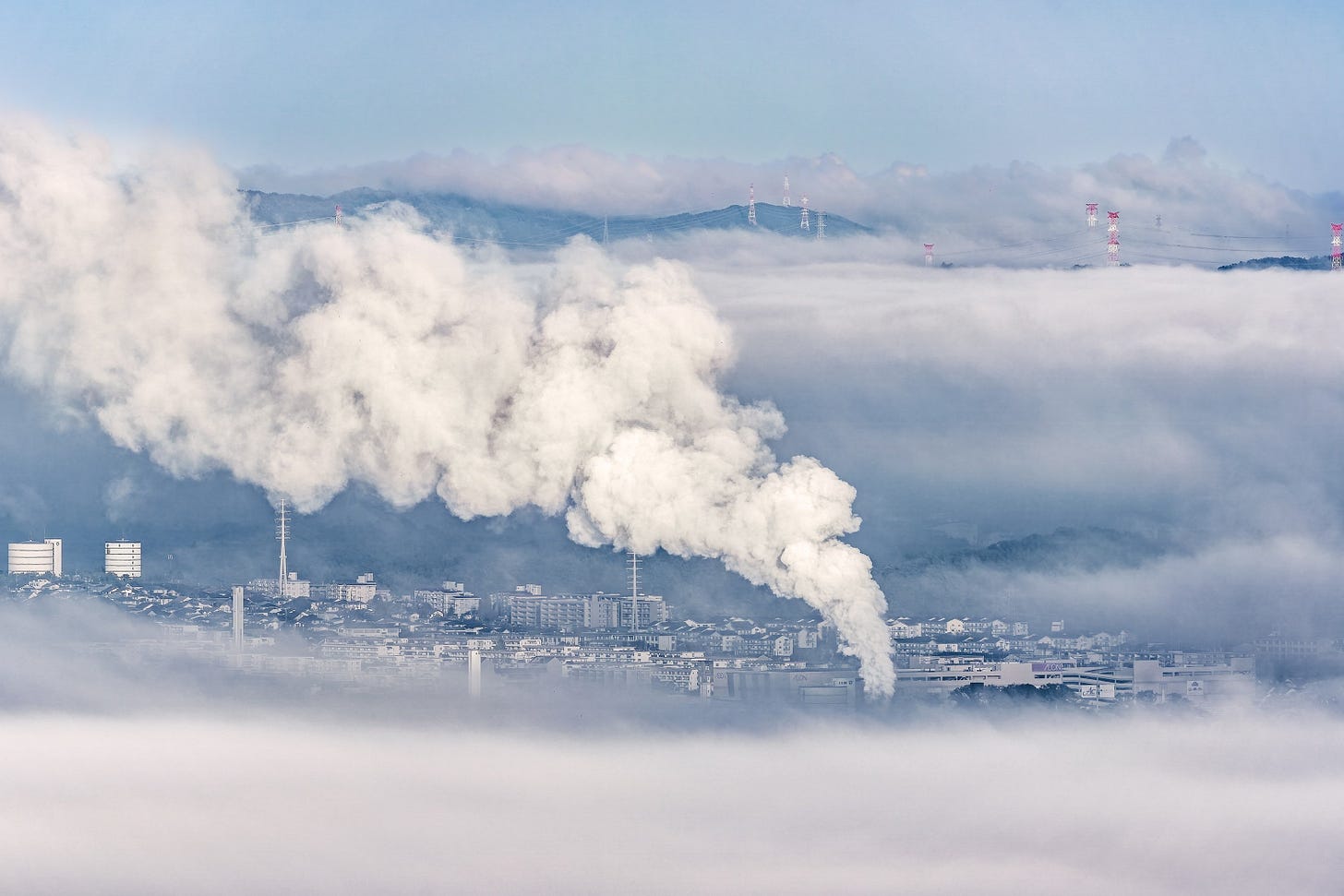 Microsoft paused carbon removal purchases. Here’s what founders and investors should do now